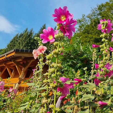 Chalet Arpitan - Les Carroz - Grand Massif Exterior foto