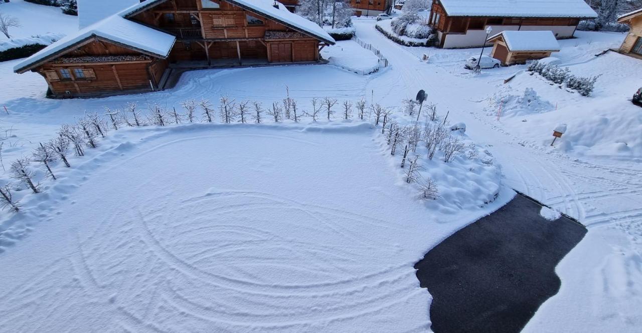 Chalet Arpitan - Les Carroz - Grand Massif Exterior foto