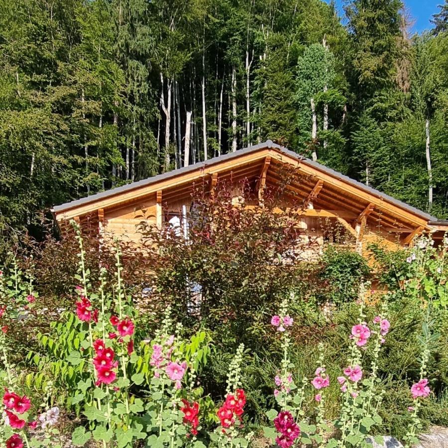 Chalet Arpitan - Les Carroz - Grand Massif Exterior foto